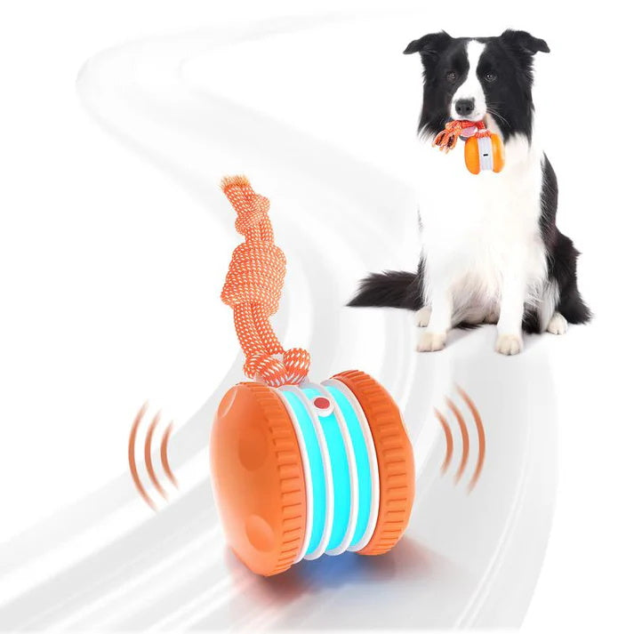 đ¶The ODEIUNâą â Keep Your Pet Relaxed, Happy & Content for Catđ± & Dogđ¶